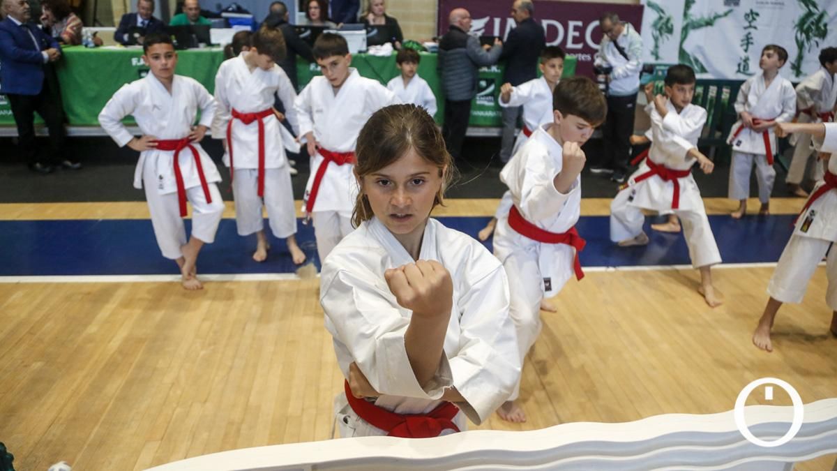 Campeonato de Andalucía Infantil y Juvenil de kárate