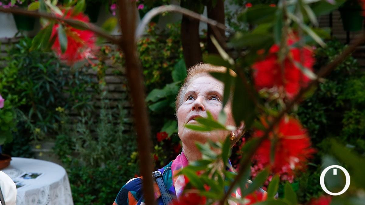 Patio Parras 8 - 2022