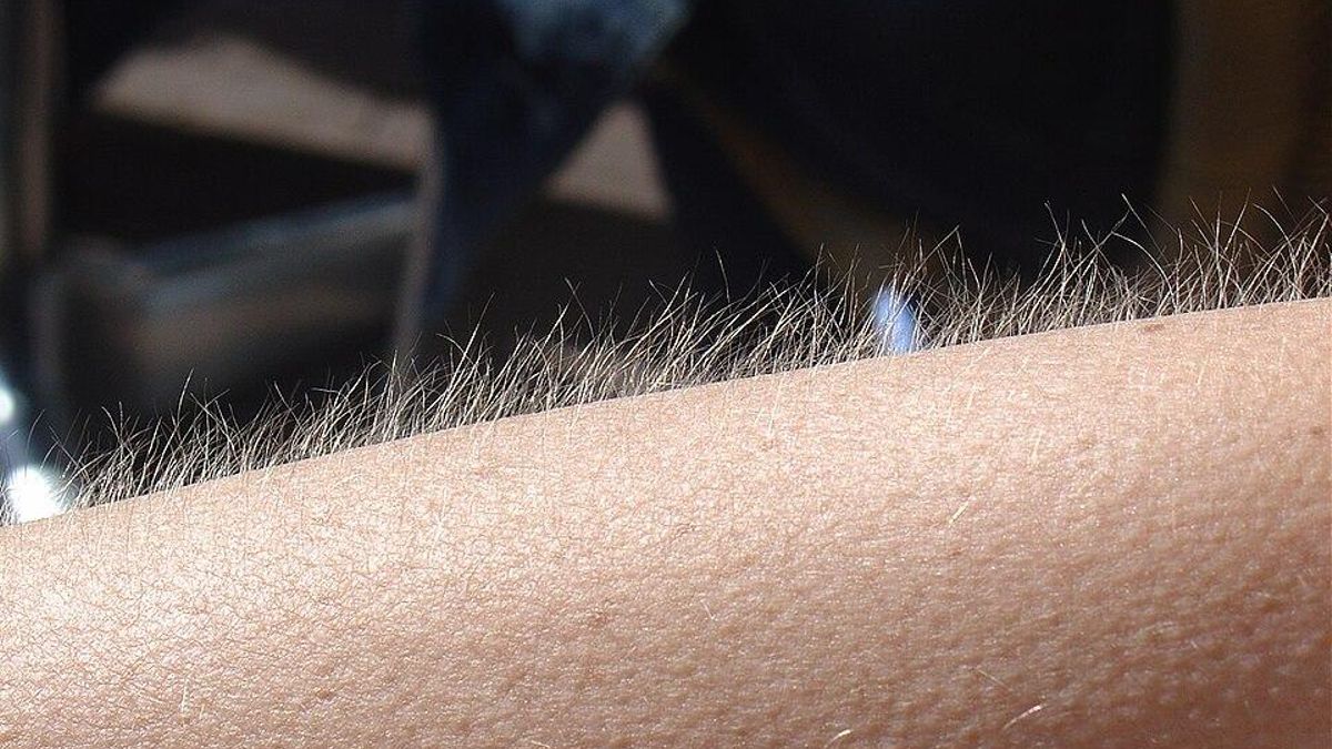 Pero de cerca todos somos raros