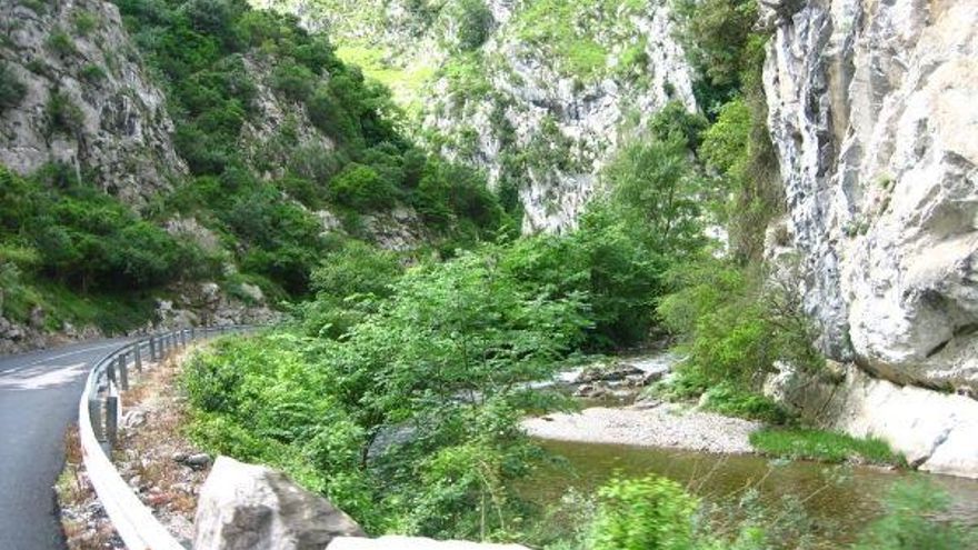 Desfiladero de La Hermida