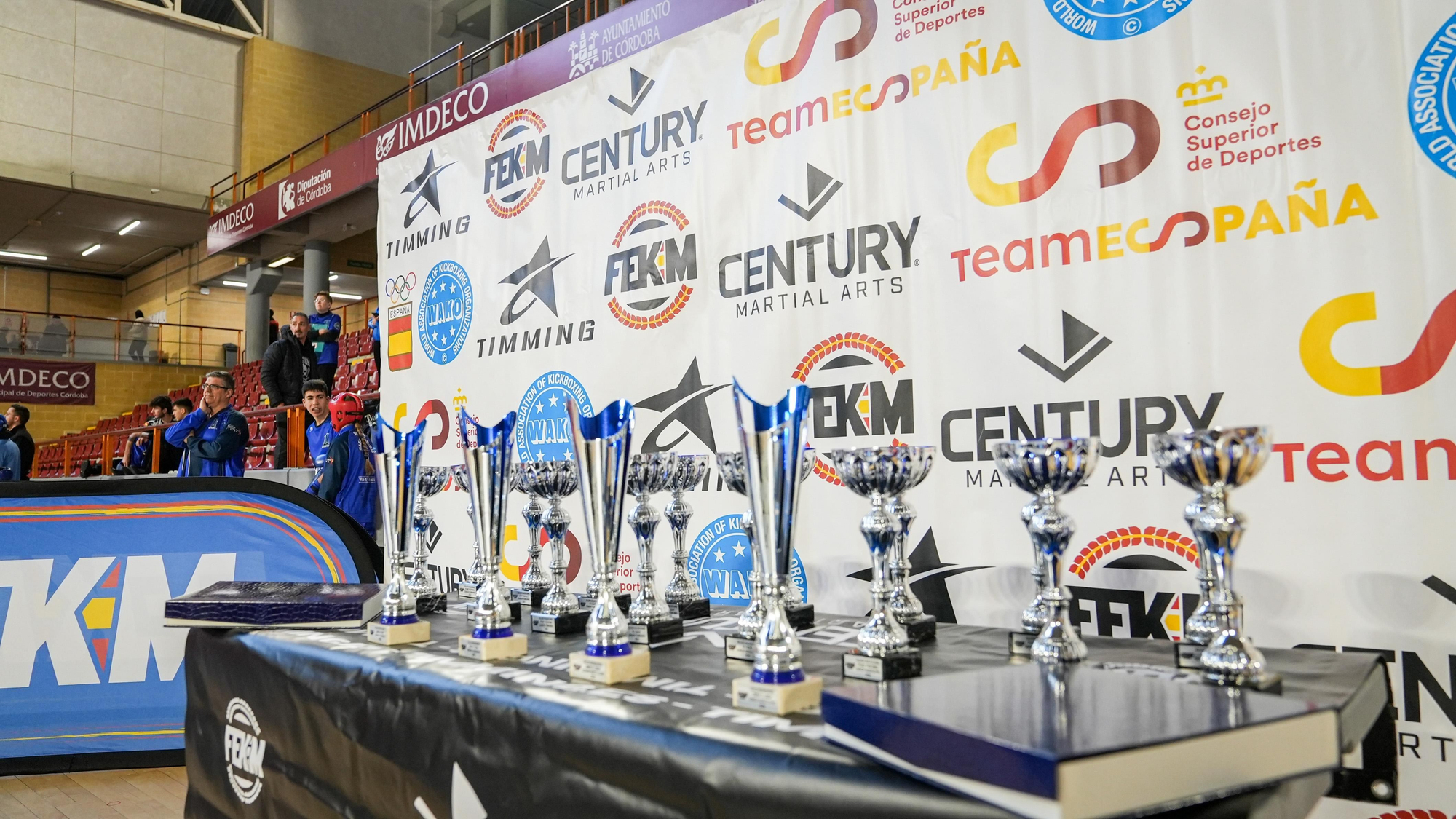 Kickboxing Stars League