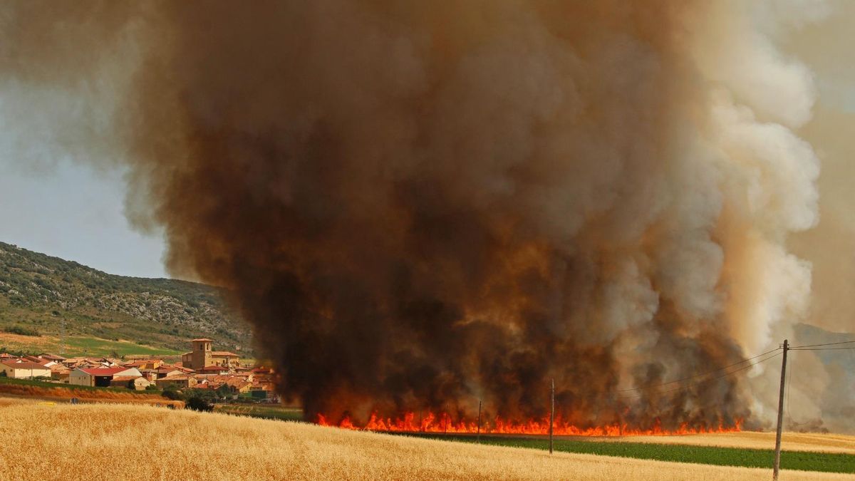 Medios aéreos y terrestres de Castilla y León colaboran en la extinción de un incendio en Foncea que ya está controlado