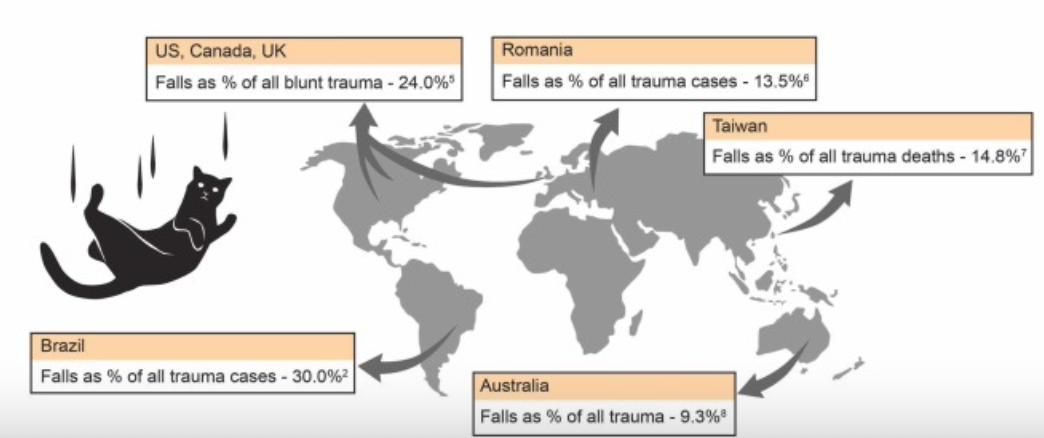 Las principales riesgos son los accidentes de tráfico, las caídas y los ataques de otros animales
