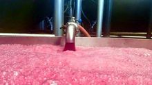 Vino