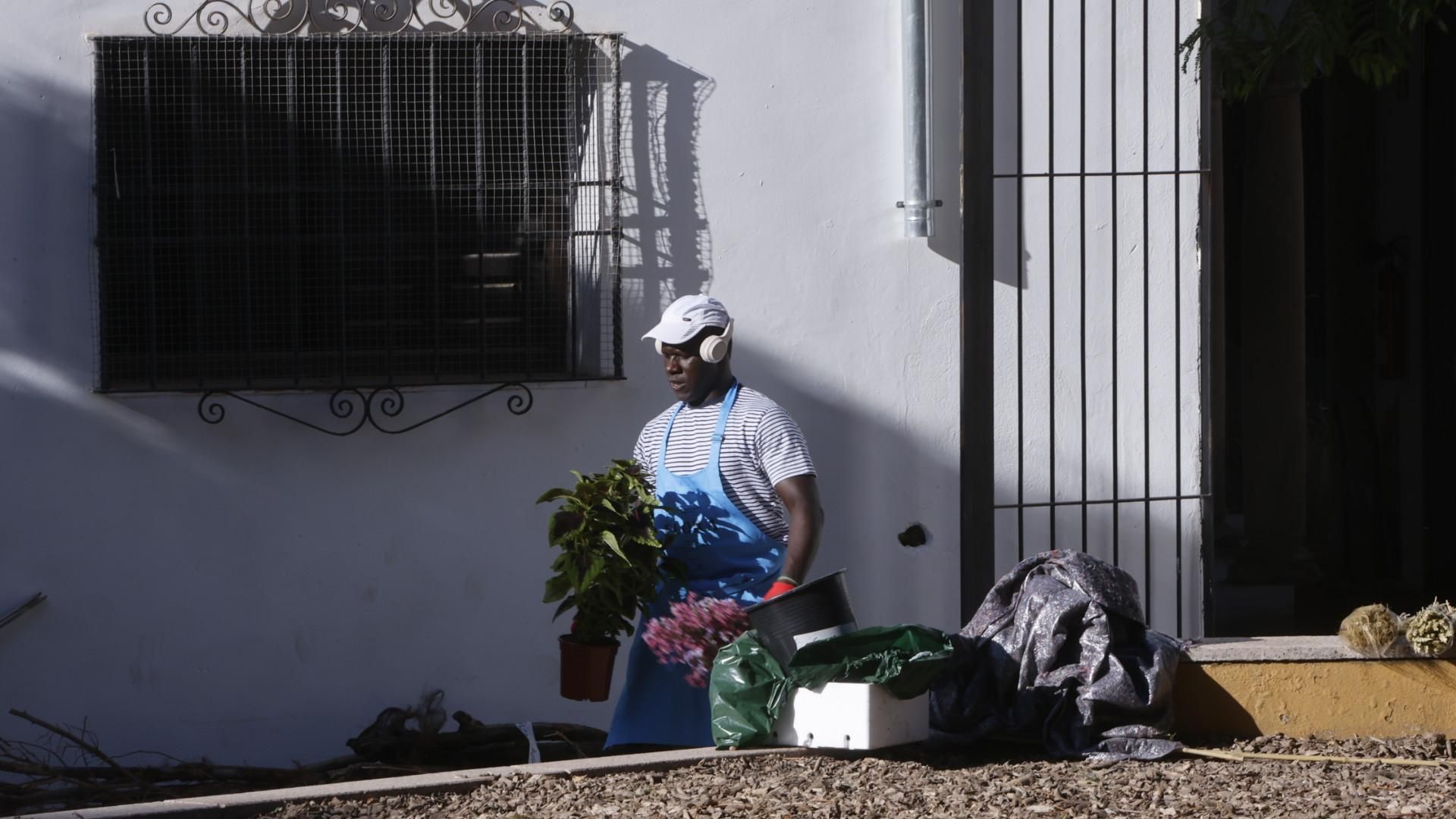 Guerrilla Flora 2025