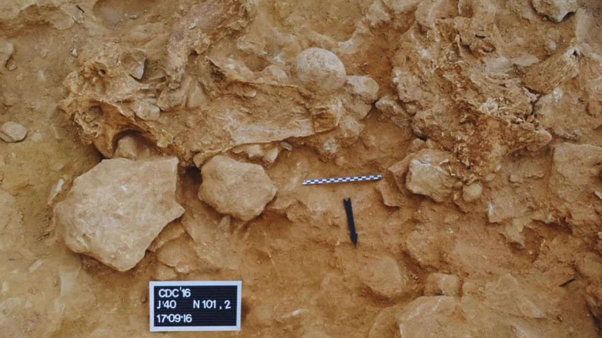 La cueva madrileña revela una estructura formada por derrumbes sucesivos