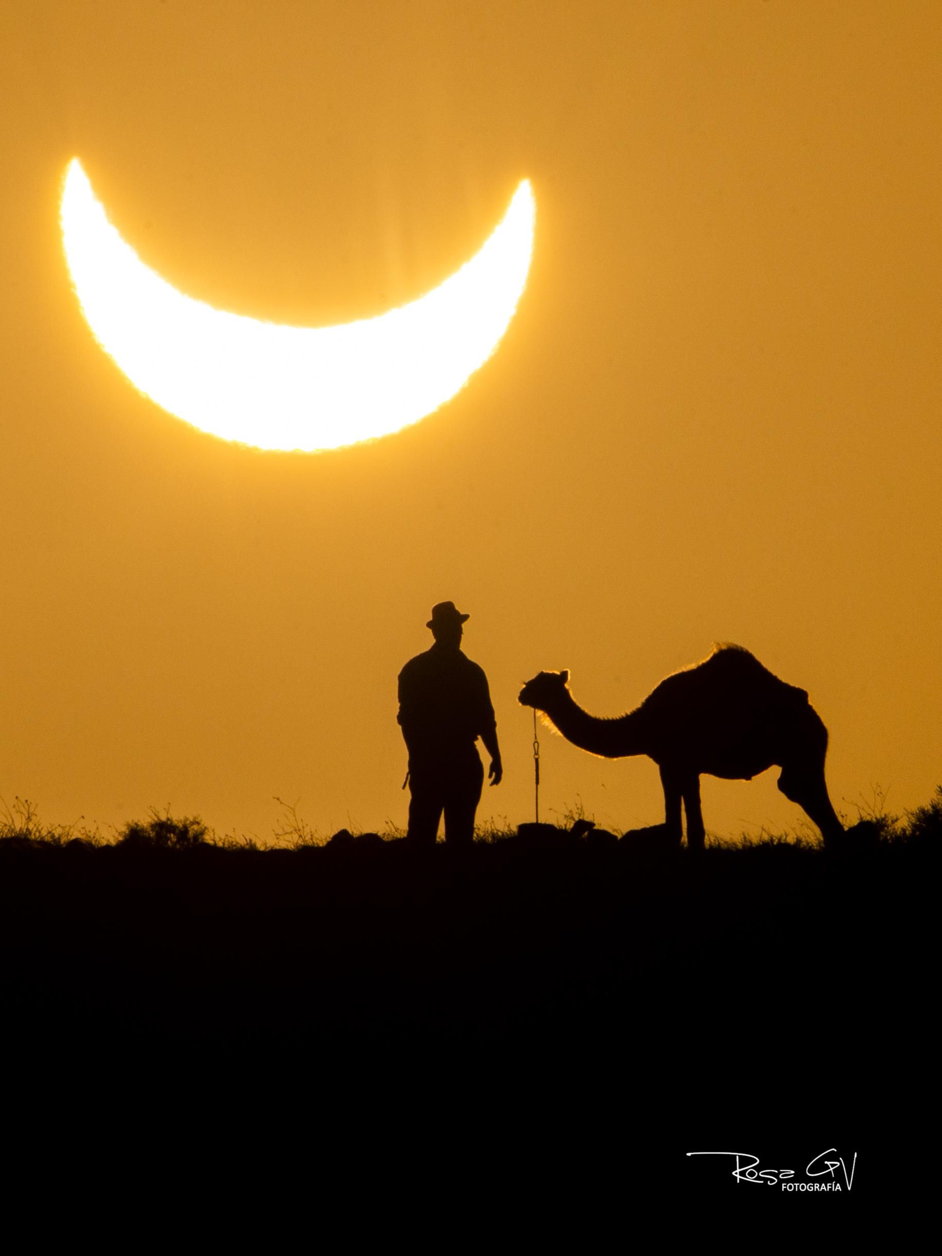 Camello y camellero durante el eclipse solar del dia 12 de Agosto de 2026 en Lanzarote. Autora: Rosa García Autora: Rosa García