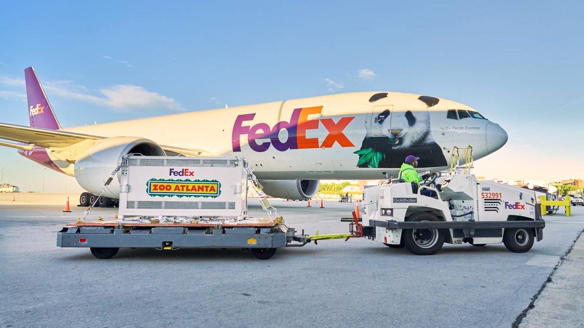El Panda Express es el avión que ha transportado a los dos ejemplares