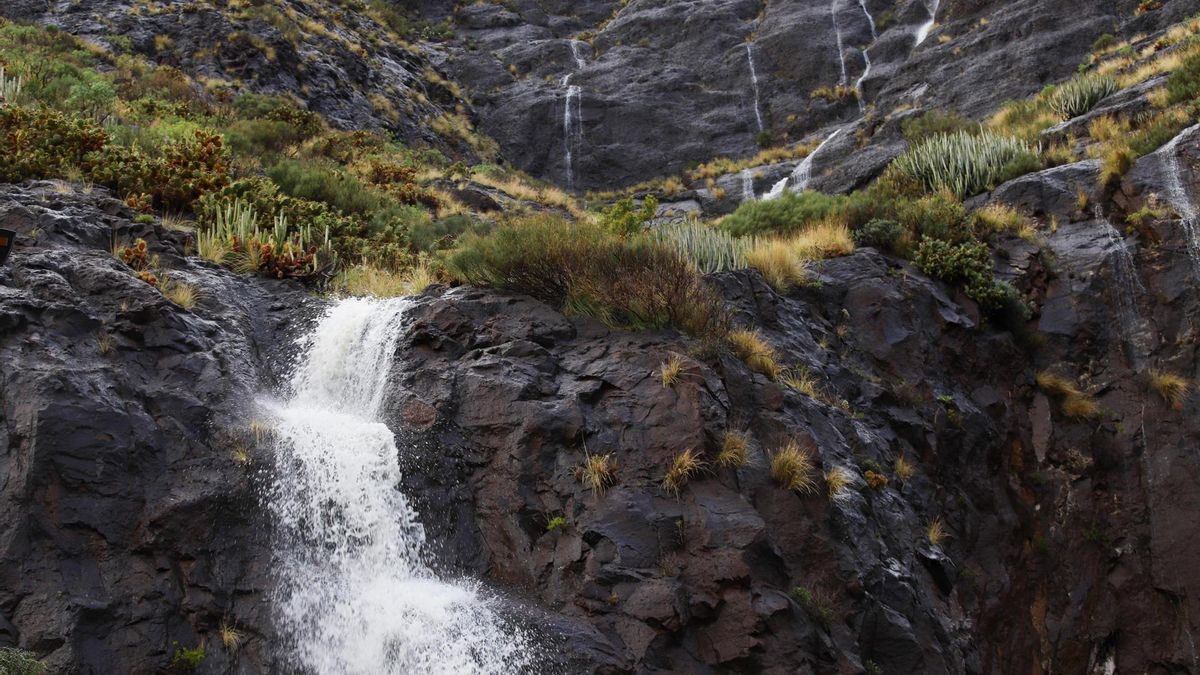 El paso de la borrasca por La Palma. EFE / Luis G Morera