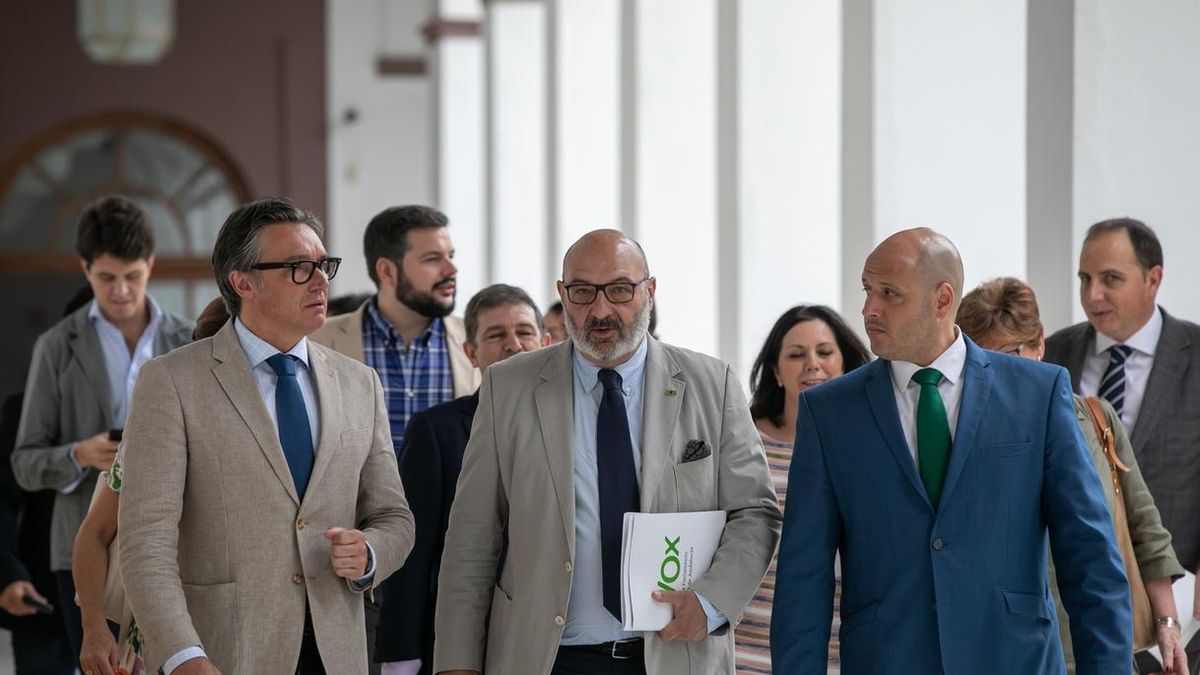 Vox pide a Junta medidas para no reconocer "falsos planteamientos de tinte ideológico" como la brecha salarial de género