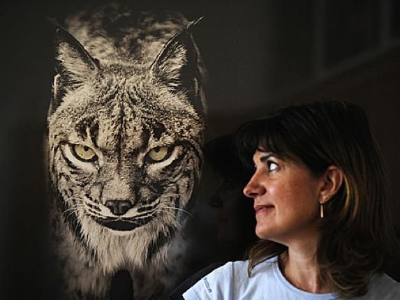 Astrid Vargas dirigió el programa de cría en cautividad desde su creación en 2003 hasta 2010.