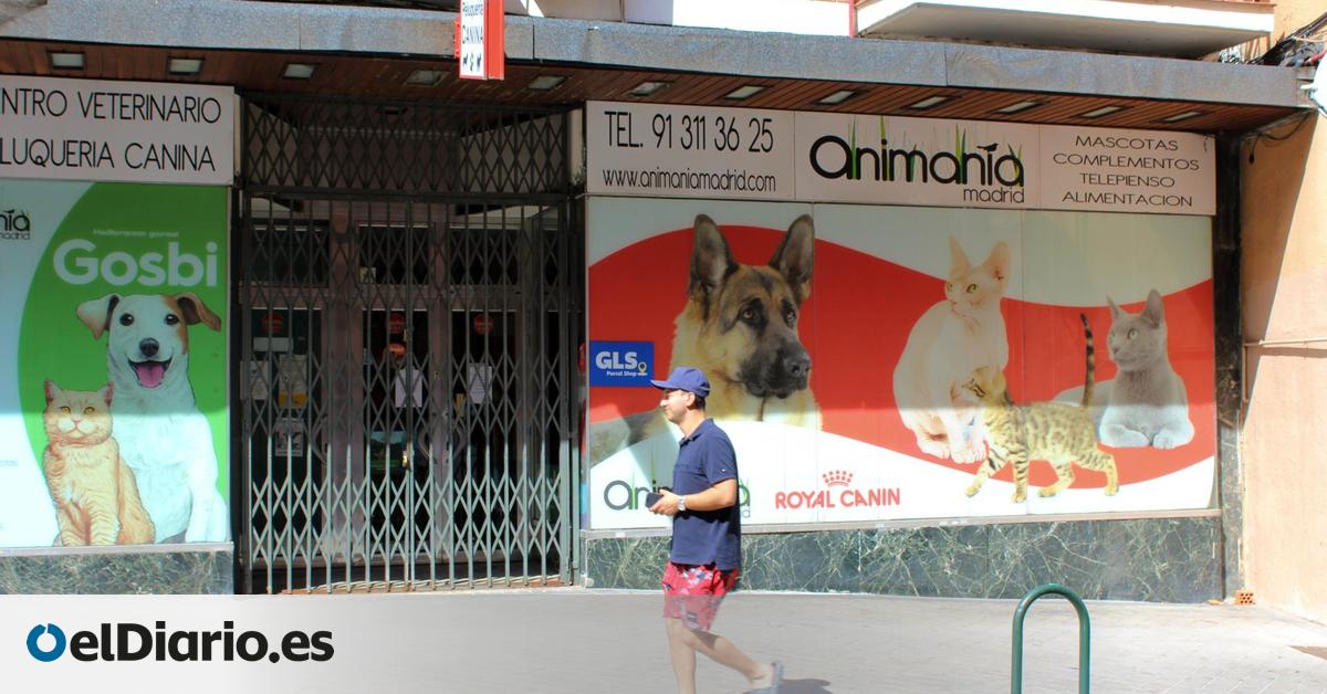 Madrid permite que un consultorio veterinario realice esterilizaciones a animales sin licencia para ello