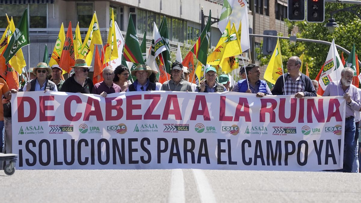 Manifestación por las calles del centro del Valladolid para pedir ayudas directas y evitar la "ruina del sector agrícola y ganadero" de la Comunidad.