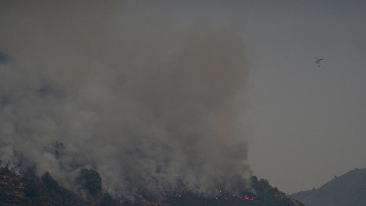 Incendio forestal en Salientes.
