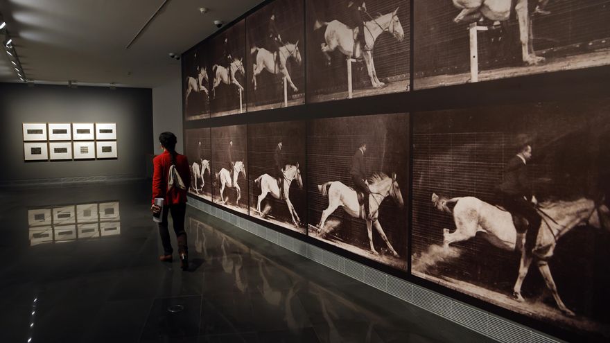 Las 'fotografías en movimiento' de Muybridge llegan al Museo Universidad de Navarra