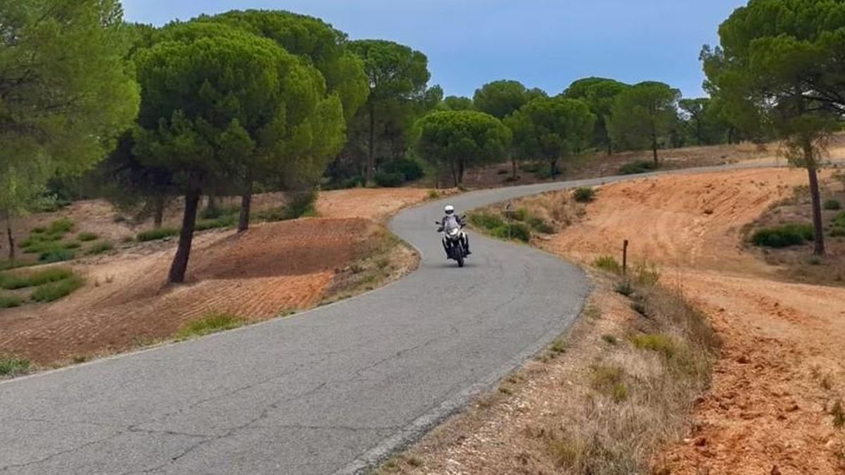 La ruta en moto Marismas – Aljarafe, el reseteo interior que devora carreteras solitarias entre naturaleza salvaje