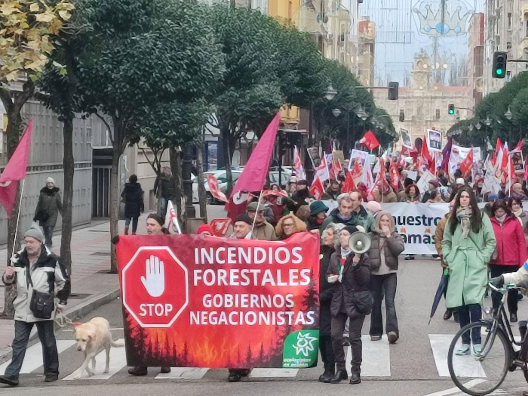 Manifestación en León contra las políticas de incendios forestales de la Junta