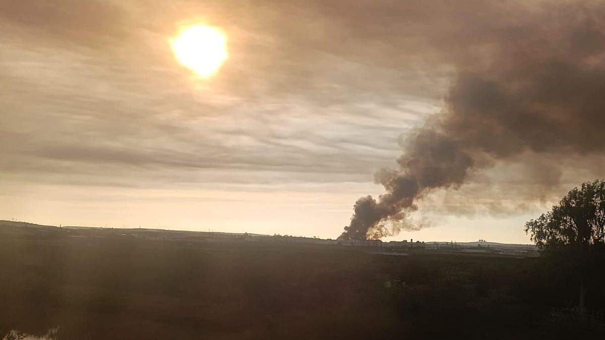 Humo del incendio en una nave abandonada de Palma del Río.