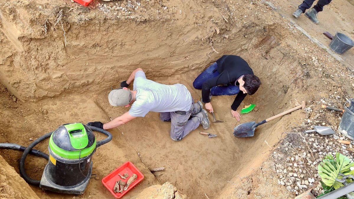 Un momento de los trabajos de exhumación que se están llevando a cabo en la fosa común.