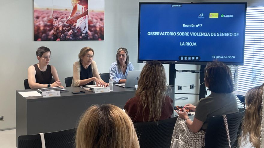 Radiografía de la violencia contra las mujeres en La Rioja: más de 70 víctimas de violencia sexual y más de 300 de violencia de género