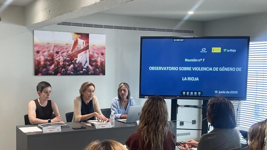 Radiografía de la violencia contra las mujeres en La Rioja: más de 70 víctimas de violencia sexual y más de 300 de violencia de género