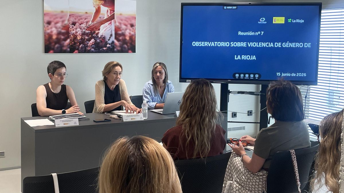 Radiografía de la violencia contra las mujeres en La Rioja: más de 70 víctimas de violencia sexual y más de 300 de violencia de género