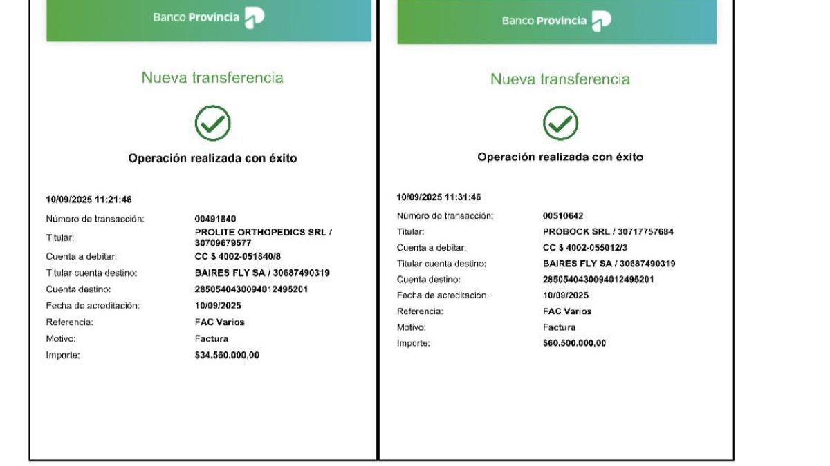 Comprobantes de transferencias de los laboratorios a Baires Fly que aparecen en el expediente judicial.
