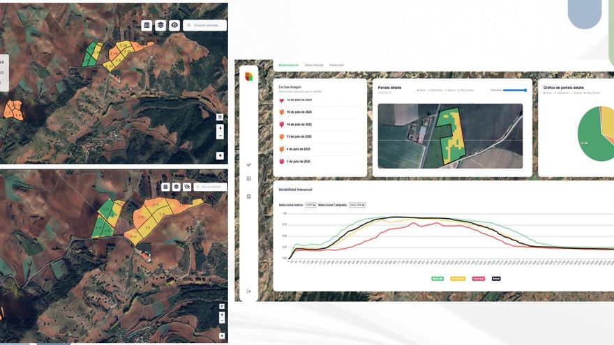 Una nueva aplicación digital con datos de satélites e inteligencia artificial permitirá mejorar la productividad de las parcelas agrícolas