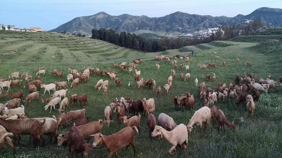 La agricultura entra en una nueva era 