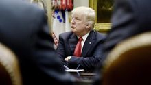 La primera víctima del proteccionismo de Trump: EEUU impone un arancel a la aceituna negra española