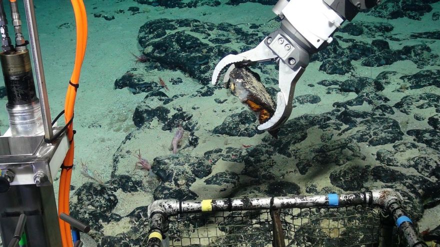 Exploración en el Monte Tropic