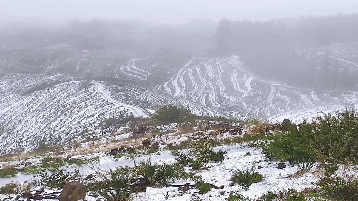 La gran nevada tiñe de blanco el campo y la cumbre