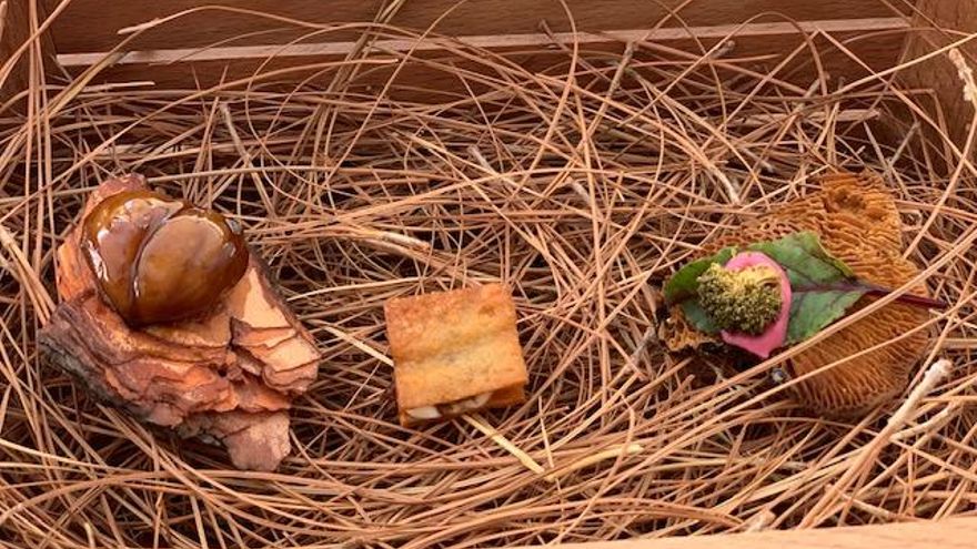 Snacks de Bienvenida