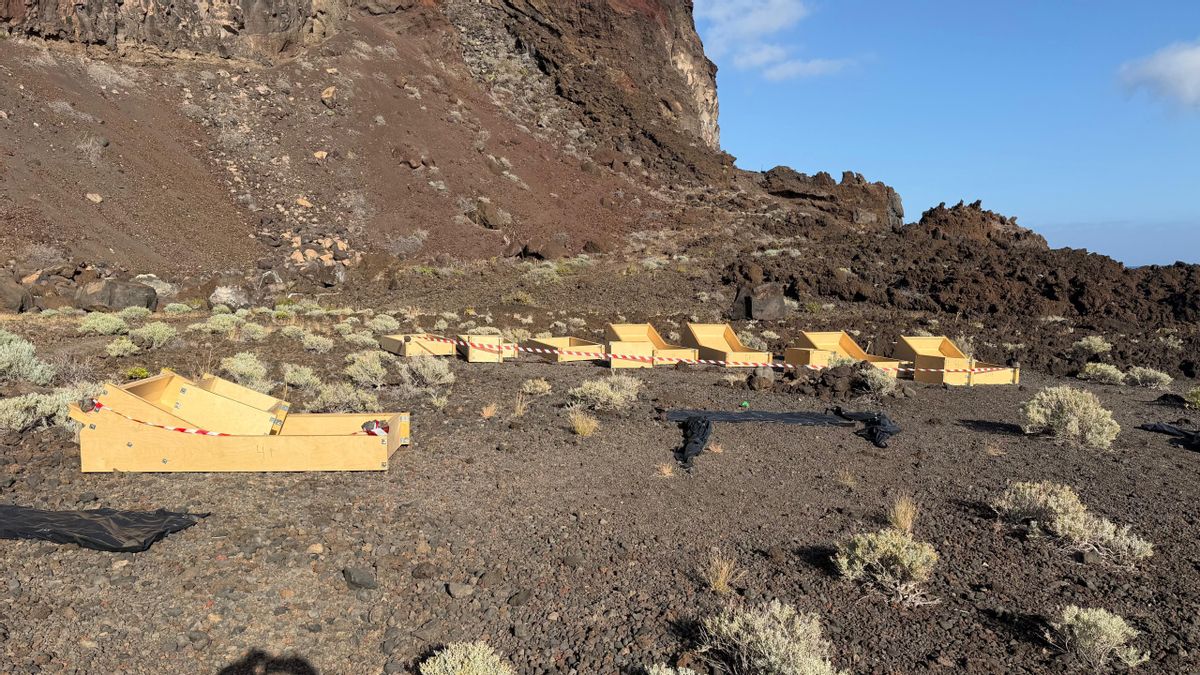 Cerca de 80 tumbonas de hormigón en una cala de El Hierro para ''diversificar el turismo'': ''Es un atentado ambiental''