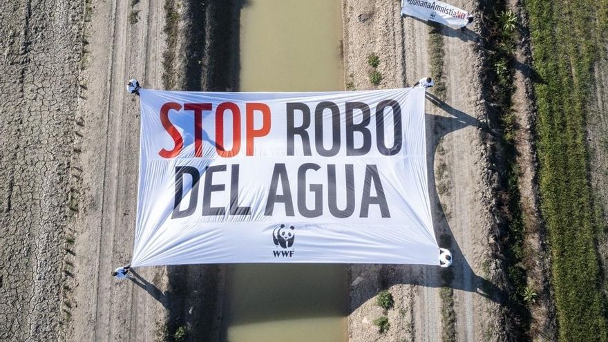 WWF lleva a Bruselas el indulto de regadíos en Doñana por "recompensar abiertamente" el uso ilegal del agua