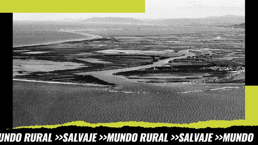 Entrada de sedimentos al delta del Ebro