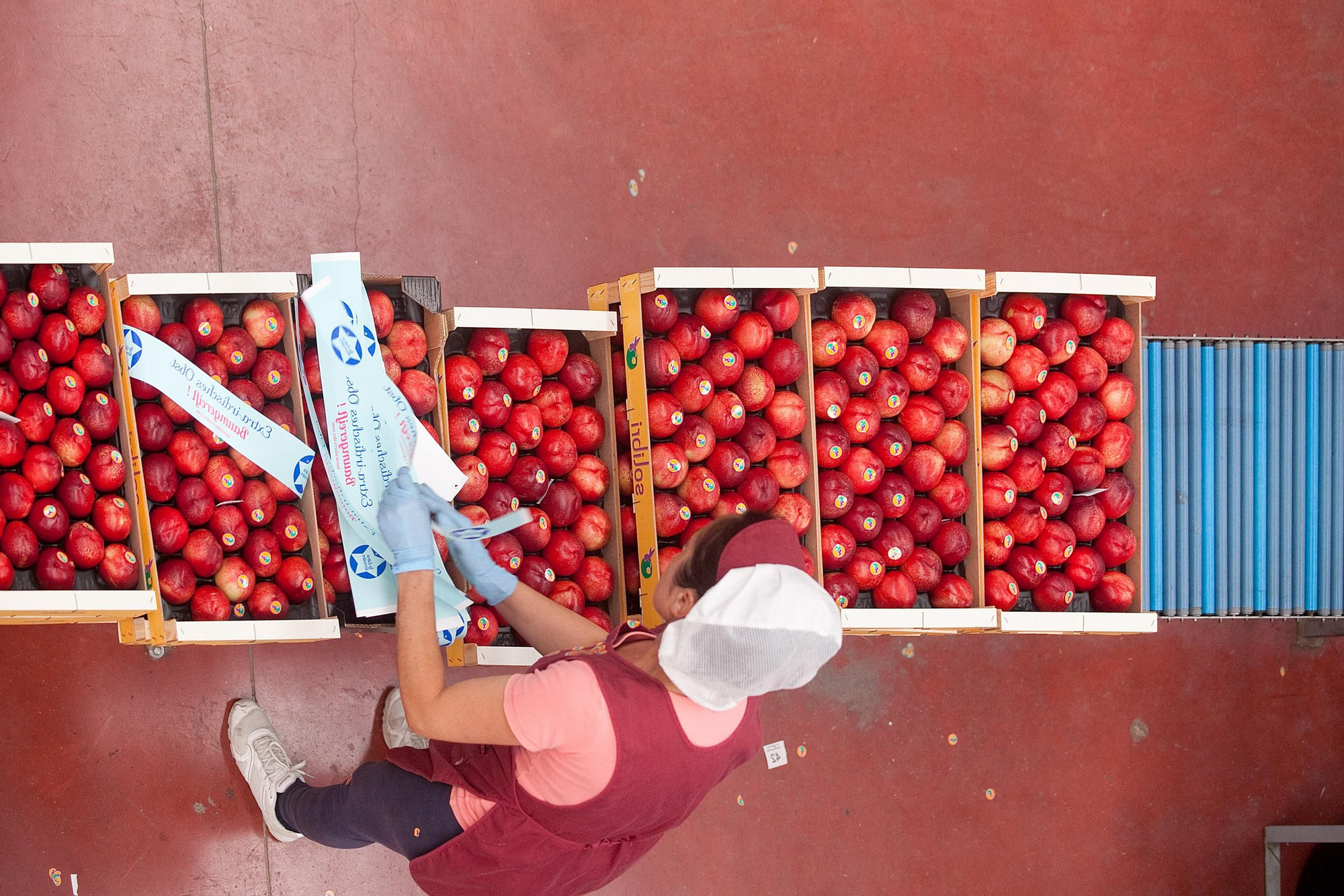 Las cajas están preparadas. La mayoría viajarán al extranjero