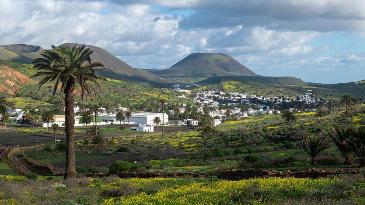 El espectacular manto verde de Lanzarote tras el paso de Filomena