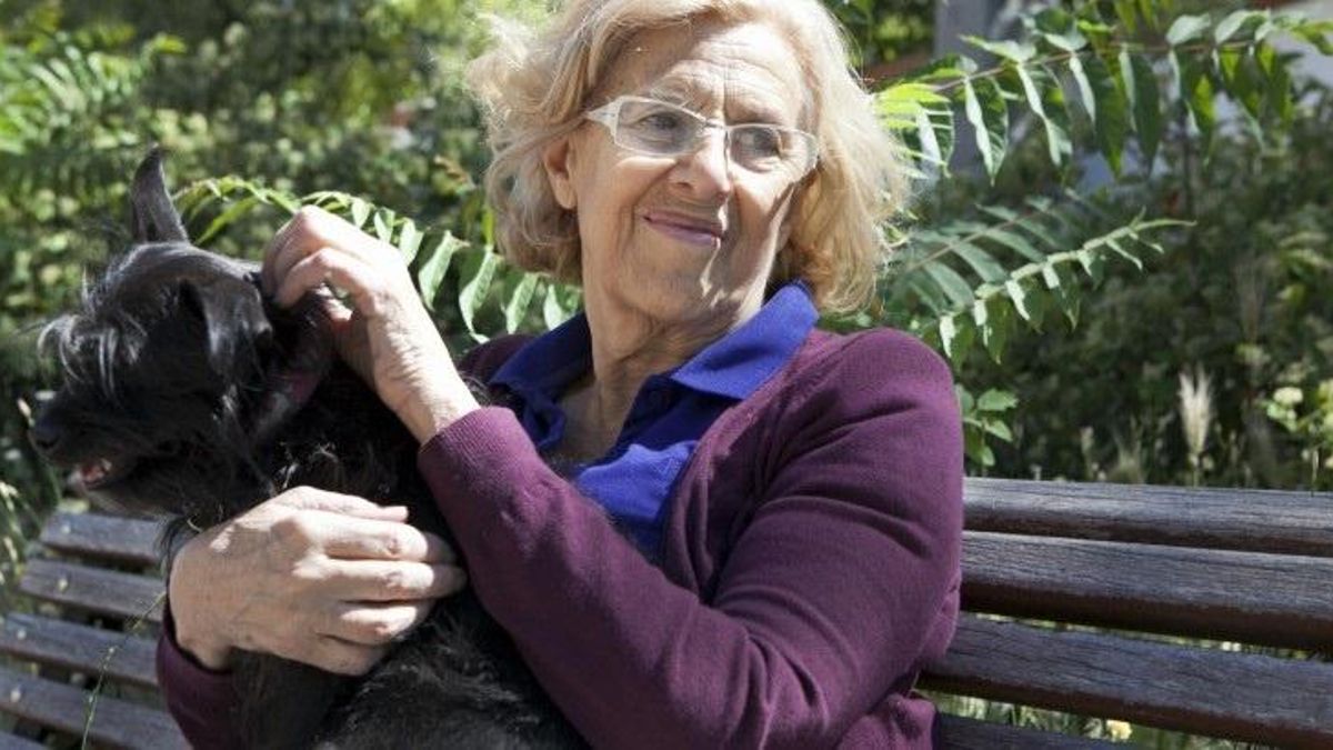 Ahora Madrid se compromete a crear una Oficina de Protección Animal y eliminar subvenciones a actividades taurinas