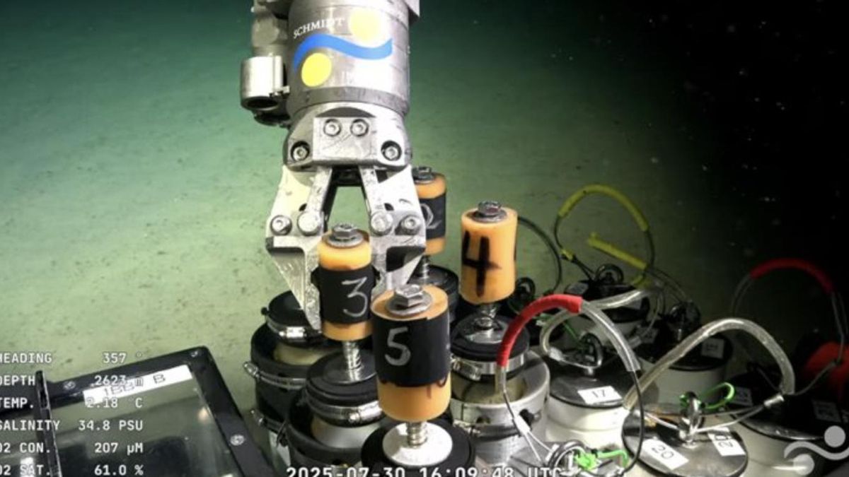 El ROV SuBastian, un vehículo operado remotamente que desciende hasta 3.900 metros de profundidad