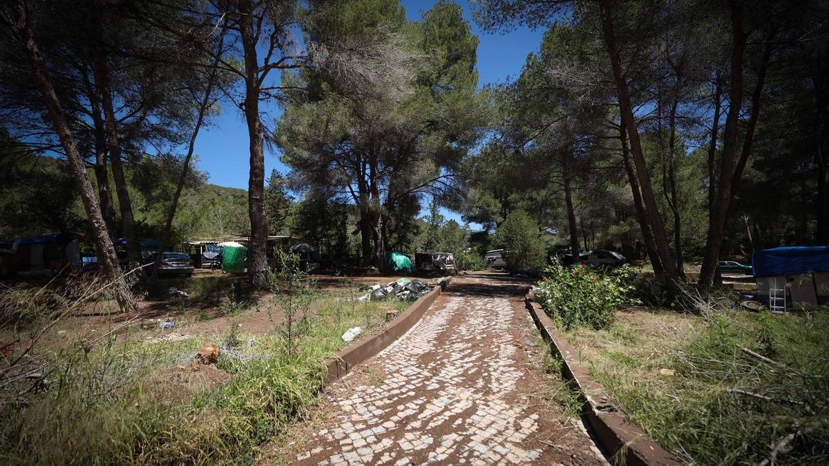 Aunque el terreno esté vallado y lleno de caminos pavimentados, el paisaje es muy parecido al de otros campamentos de chabolas que existen o han existido en Eivissa.