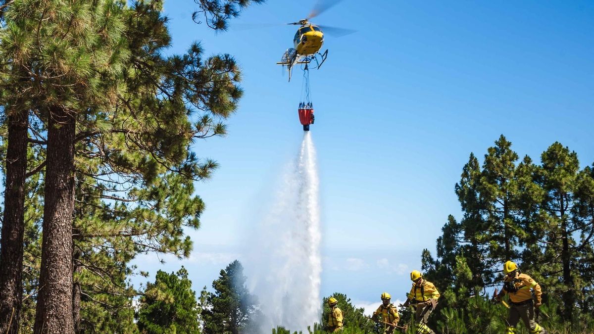 Un helicóptero, realizando una descarga de agua en un monte de Tenerife.