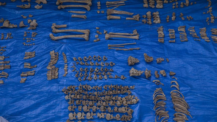 Trabajos de exhumación de la fosa común de Pico Reja