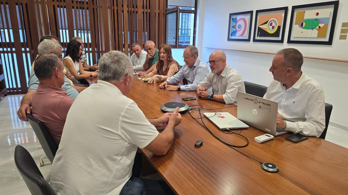 Reunión este viernes de representantes del Gobierno de Canarias, Cabildo de La Palma y Asociación de Entidades Empaquetadoras, Exportadoras y Comer cializadoras de Frutos de La Palma (Asepalma).