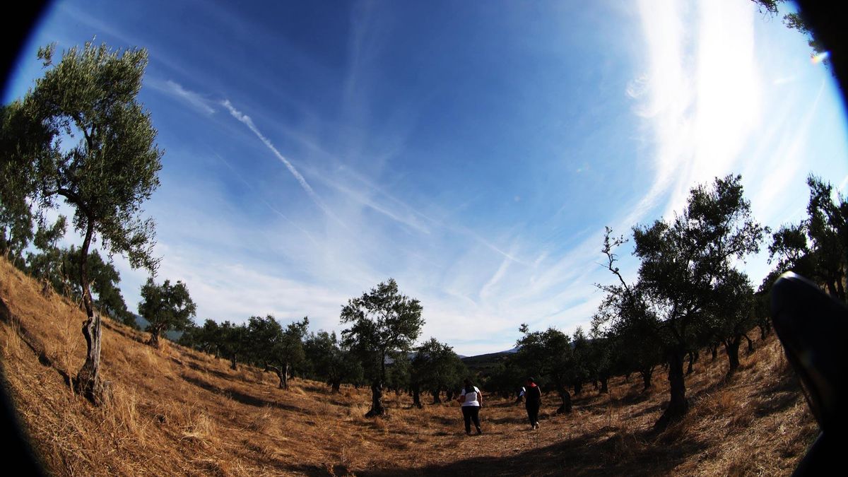 Panorámica con distorsión de ojo de pez de un monte en León.