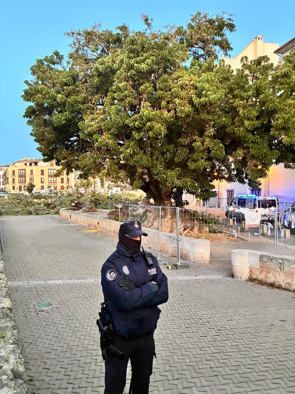 Un agente de Policía Local custodia un espacio donde la mayor parte de los árboles ya se han convertido en leña.