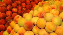 Fruta de hueso