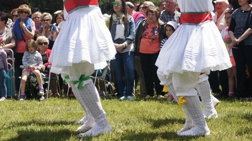 Baile de los danzantes de Carrizo