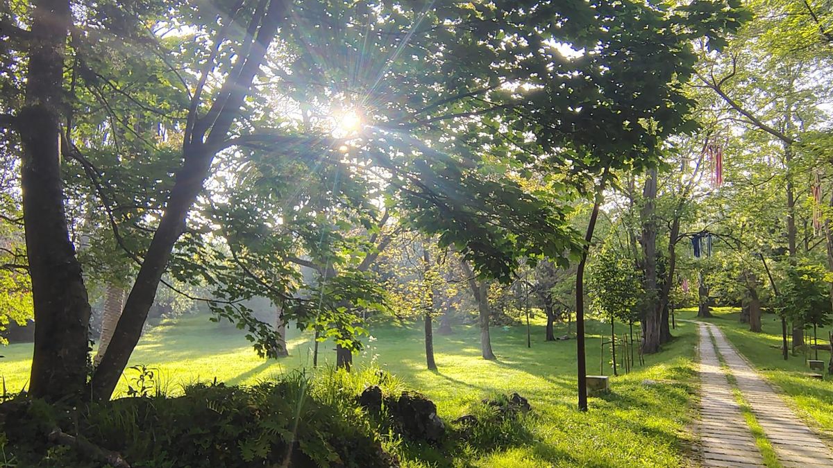 Villaescusa propone al Gobierno de Cantabria recuperar la gestión del parque Rosequillo y del edificio cerrado desde 2020