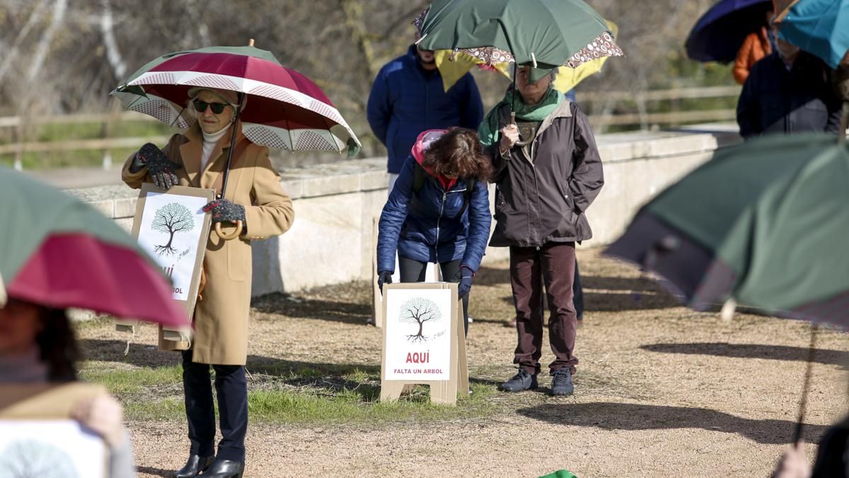 AAVV Axerquía y Regina-Magdalena realizan la actividad 'Aquí falta un árbol' en el Parque de Miraflores